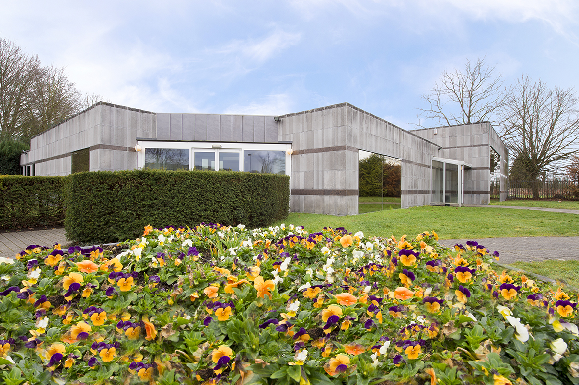 Crématorium-mons - fleurs-jaunes